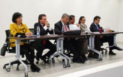 audiencia-publica.JPG