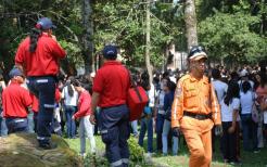 brigada.jpg